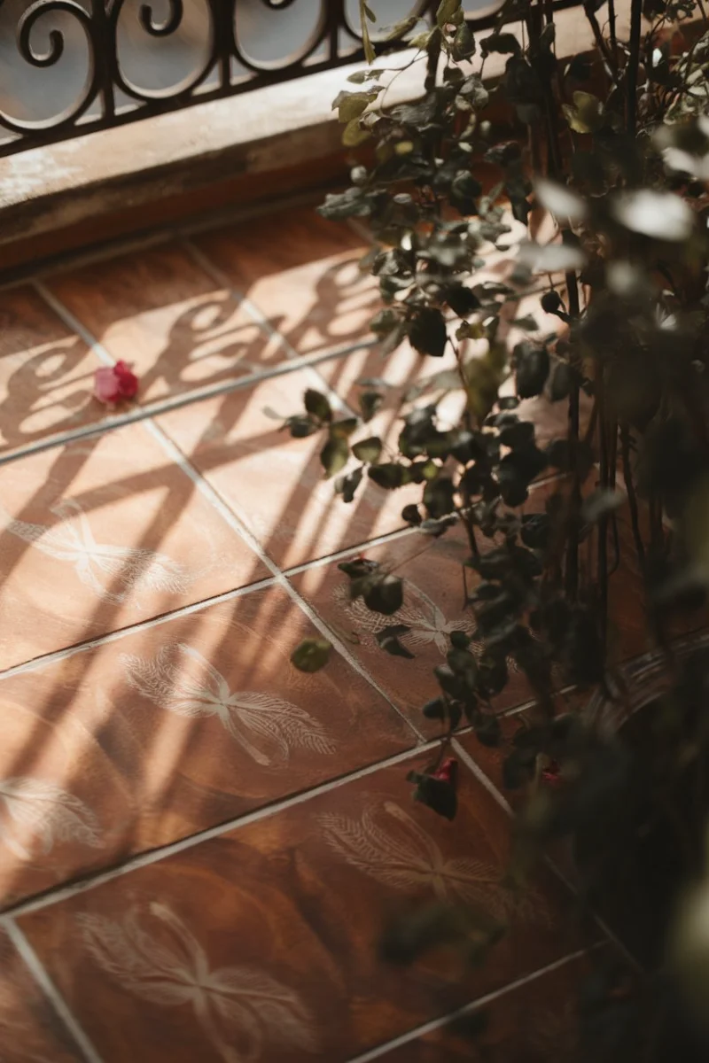 Patterned Terracotta Floor Tiles